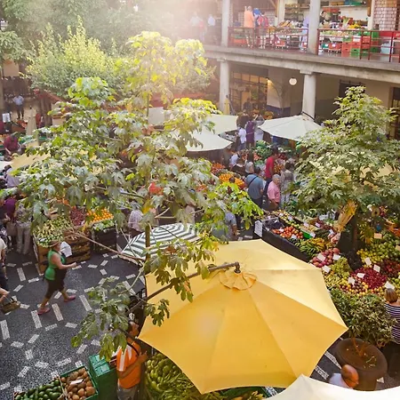 Elias Garcia Ii By An Island Appartement